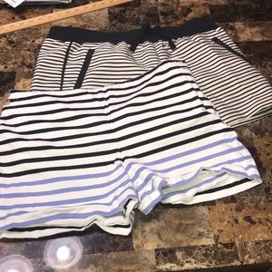 Loft of  loft shorts